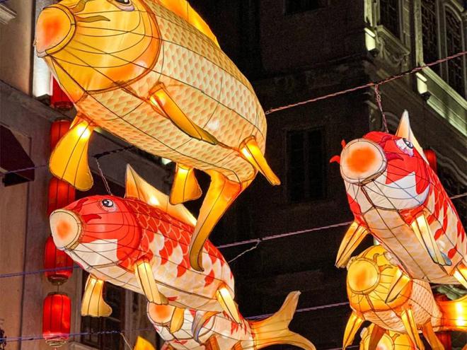天4夜省钱行程攻略亲子游省心避免旅游坑点