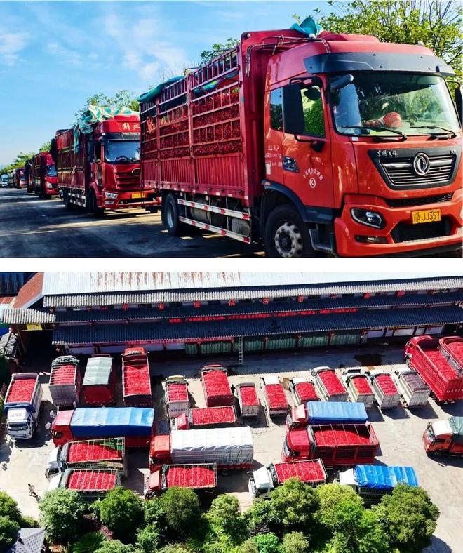 主角贵州酸汤突围：拼多多培土电商新周期PG麻将胡了网站入口从厨房佐餐到双十一(图3)